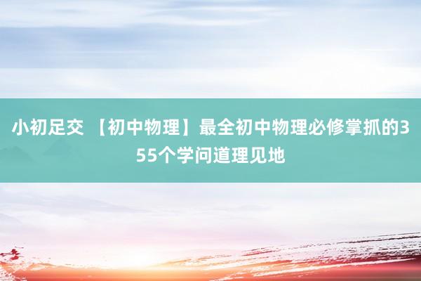 小初足交 【初中物理】最全初中物理必修掌抓的355个学问道理见地