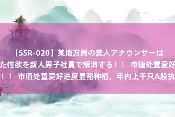 【SSR-020】某地方局の美人アナウンサーは忙し過ぎて溜まりまくった性欲を新人男子社員で解消する！！ 市值处置爱好进度显豁种植，年内上千只A股执行回购