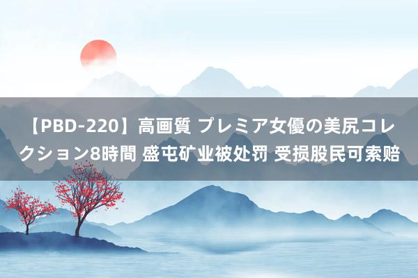 【PBD-220】高画質 プレミア女優の美尻コレクション8時間 盛屯矿业被处罚 受损股民可索赔