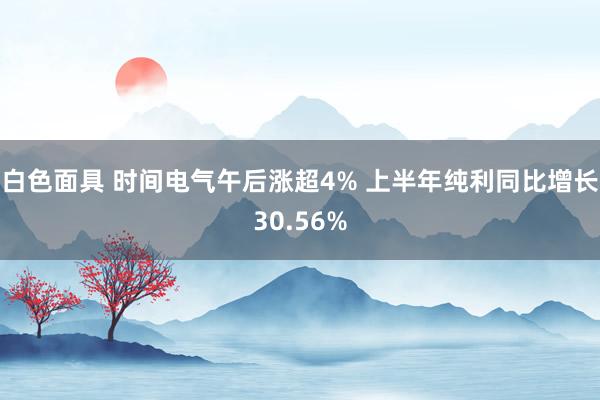 白色面具 时间电气午后涨超4% 上半年纯利同比增长30.56%