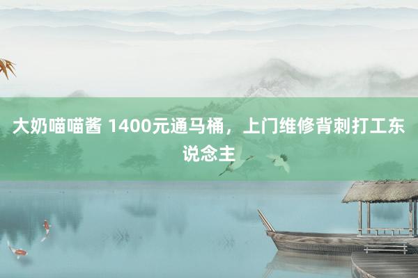 大奶喵喵酱 1400元通马桶，上门维修背刺打工东说念主