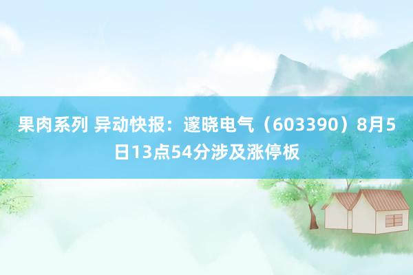 果肉系列 异动快报：邃晓电气（603390）8月5日13点54分涉及涨停板