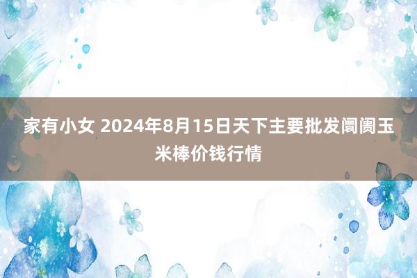 家有小女 2024年8月15日天下主要批发阛阓玉米棒价钱行情