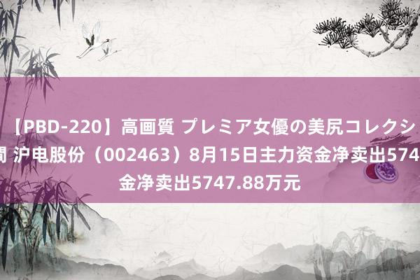 【PBD-220】高画質 プレミア女優の美尻コレクション8時間 沪电股份（002463）8月15日主力资金净卖出5747.88万元