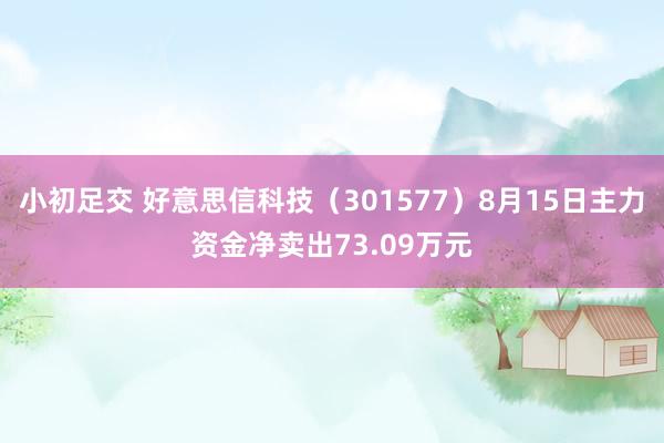 小初足交 好意思信科技（301577）8月15日主力资金净卖出73.09万元