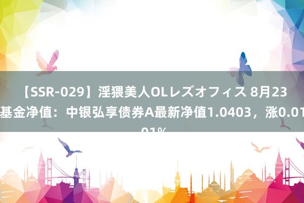 【SSR-029】淫猥美人OLレズオフィス 8月23日基金净值：中银弘享债券A最新净值1.0403，涨0.01%