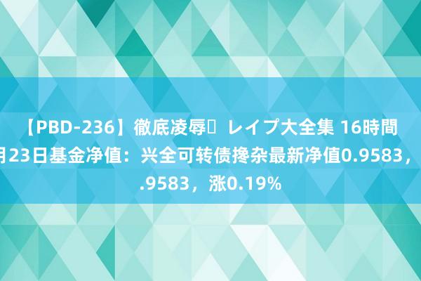 【PBD-236】徹底凌辱・レイプ大全集 16時間 第2集 8月23日基金净值：兴全可转债搀杂最新净值0.9583，涨0.19%