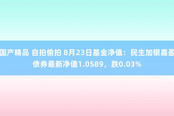 国产精品 自拍偷拍 8月23日基金净值：民生加银嘉盈债券最新净值1.0589，跌0.03%