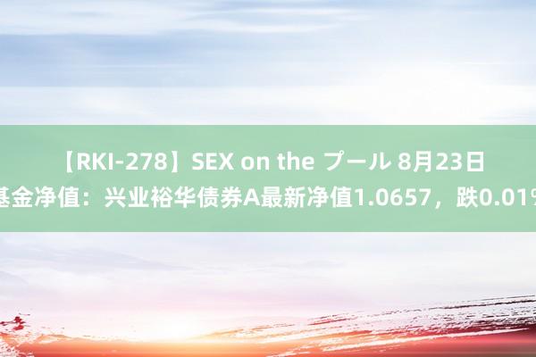 【RKI-278】SEX on the プール 8月23日基金净值：兴业裕华债券A最新净值1.0657，跌0.01%