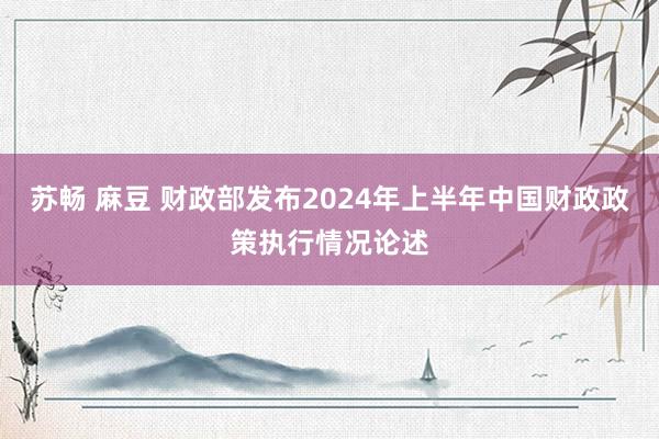 苏畅 麻豆 财政部发布2024年上半年中国财政政策执行情况论述