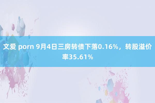 文爱 porn 9月4日三房转债下落0.16%，转股溢价率35.61%