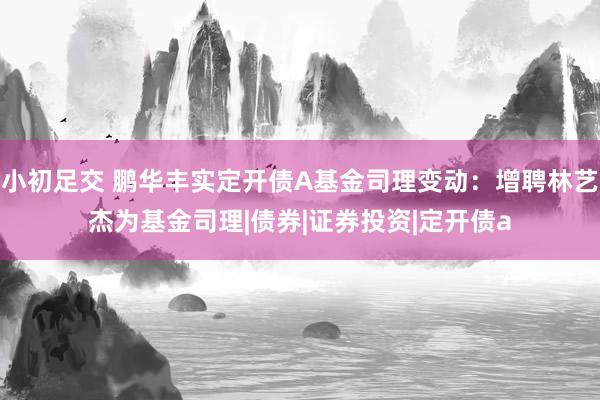 小初足交 鹏华丰实定开债A基金司理变动：增聘林艺杰为基金司理|债券|证券投资|定开债a