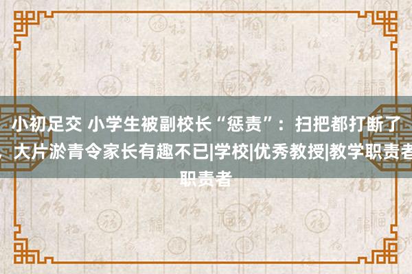 小初足交 小学生被副校长“惩责”：扫把都打断了，大片淤青令家长有趣不已|学校|优秀教授|教学职责者