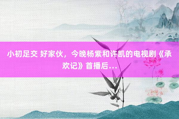 小初足交 好家伙，今晚杨紫和许凯的电视剧《承欢记》首播后…