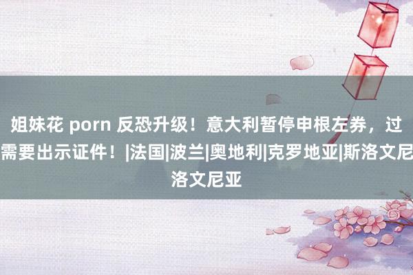 姐妹花 porn 反恐升级！意大利暂停申根左券，过境需要出示证件！|法国|波兰|奥地利|克罗地亚|斯洛文尼亚