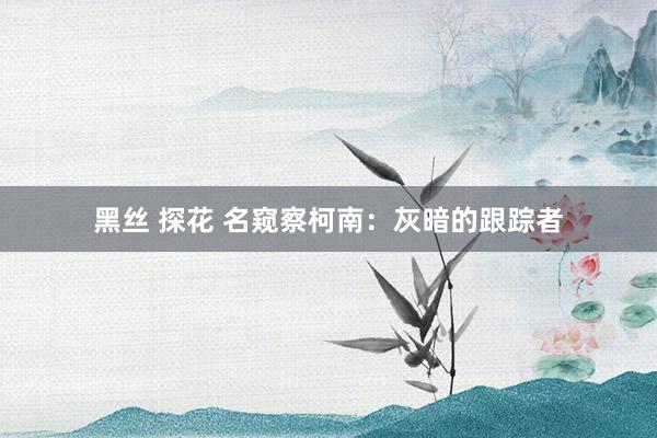 黑丝 探花 名窥察柯南：灰暗的跟踪者